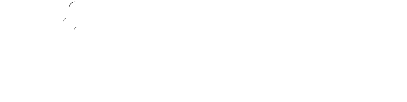 VISER LAB