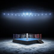 Top 10 Boxer of All Times