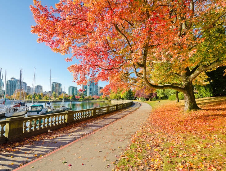 The Top 10 Most Beautiful Cities in The World! 10 Vancouver